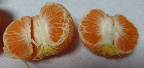 マーコットオレンジ皮むき２画像